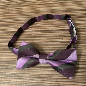 Jon Vandyk Holland Handmade Purple Novelty Bow Tie
